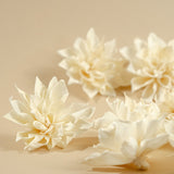 4" Labyrinth Dahlia (10 Pack) - Sola Wood Flowers