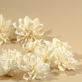 4" Labyrinth Dahlia (10 Pack) - Sola Wood Flowers