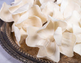 4" Magnolia (10 Pack) - Sola Wood Flowers