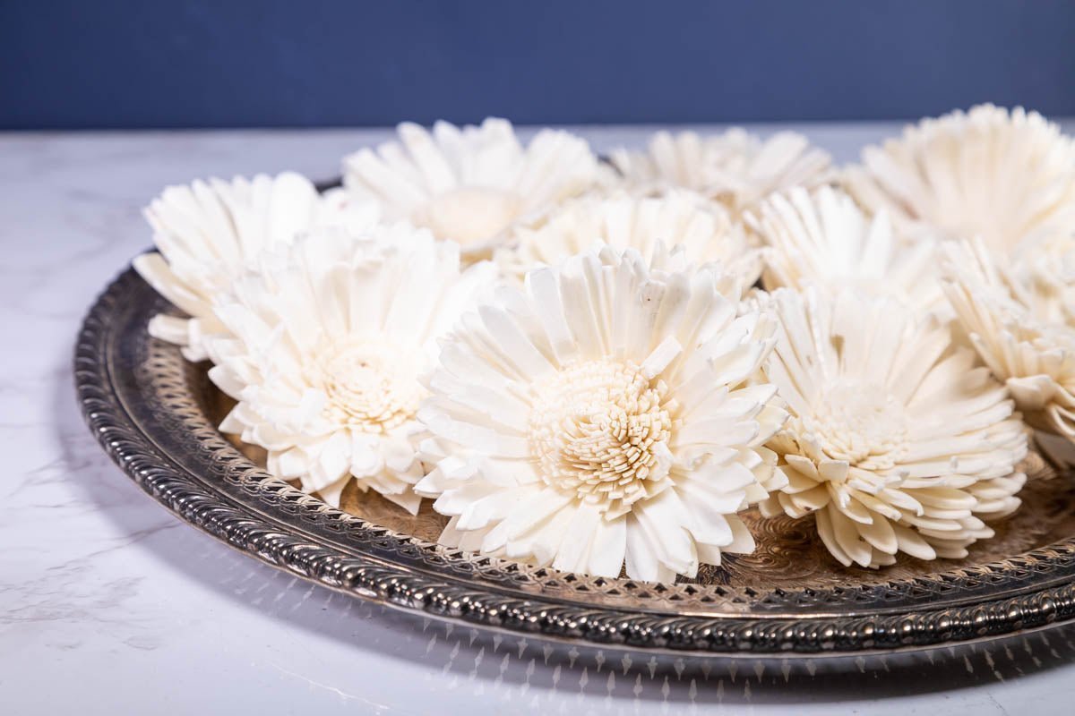 Sola Wood Flowers – tagged 