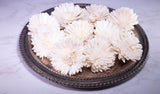 4" Oxeye Daisy (10 Pack) - Sola Wood Flowers