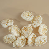 4" Peony (10 Pack) - Sola Wood Flowers