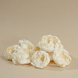4" Peony (10 Pack) - Sola Wood Flowers