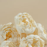 4" Peony (10 Pack) - Sola Wood Flowers