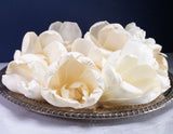 4" Precious Tulip (10 Pack) - Sola Wood Flowers