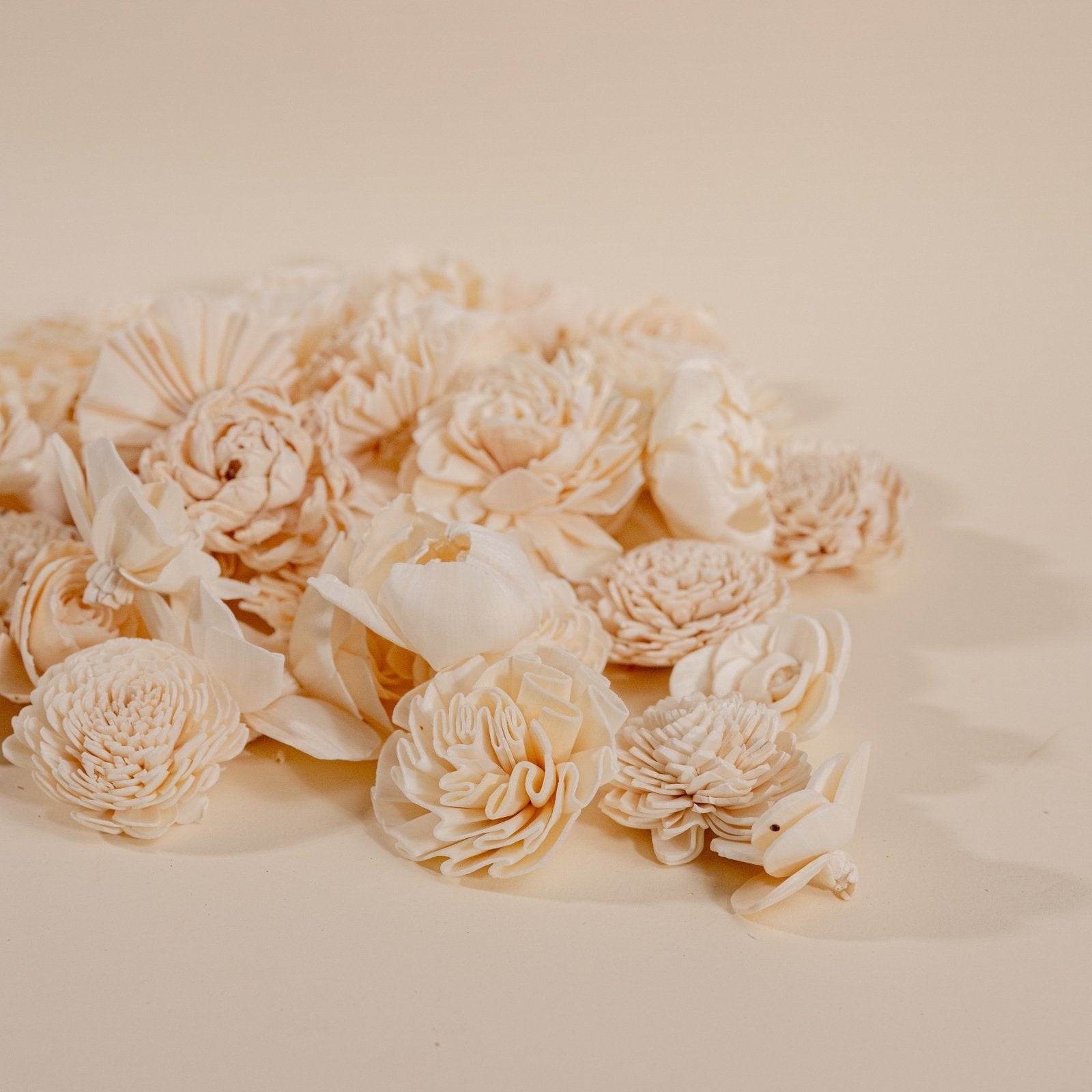 口コミ サイト 商品 400 Random Sola-Flowers – Bark) (No Assortment 邦楽