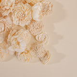 400 Random Assortment (No Bark) - Sola Wood Flowers