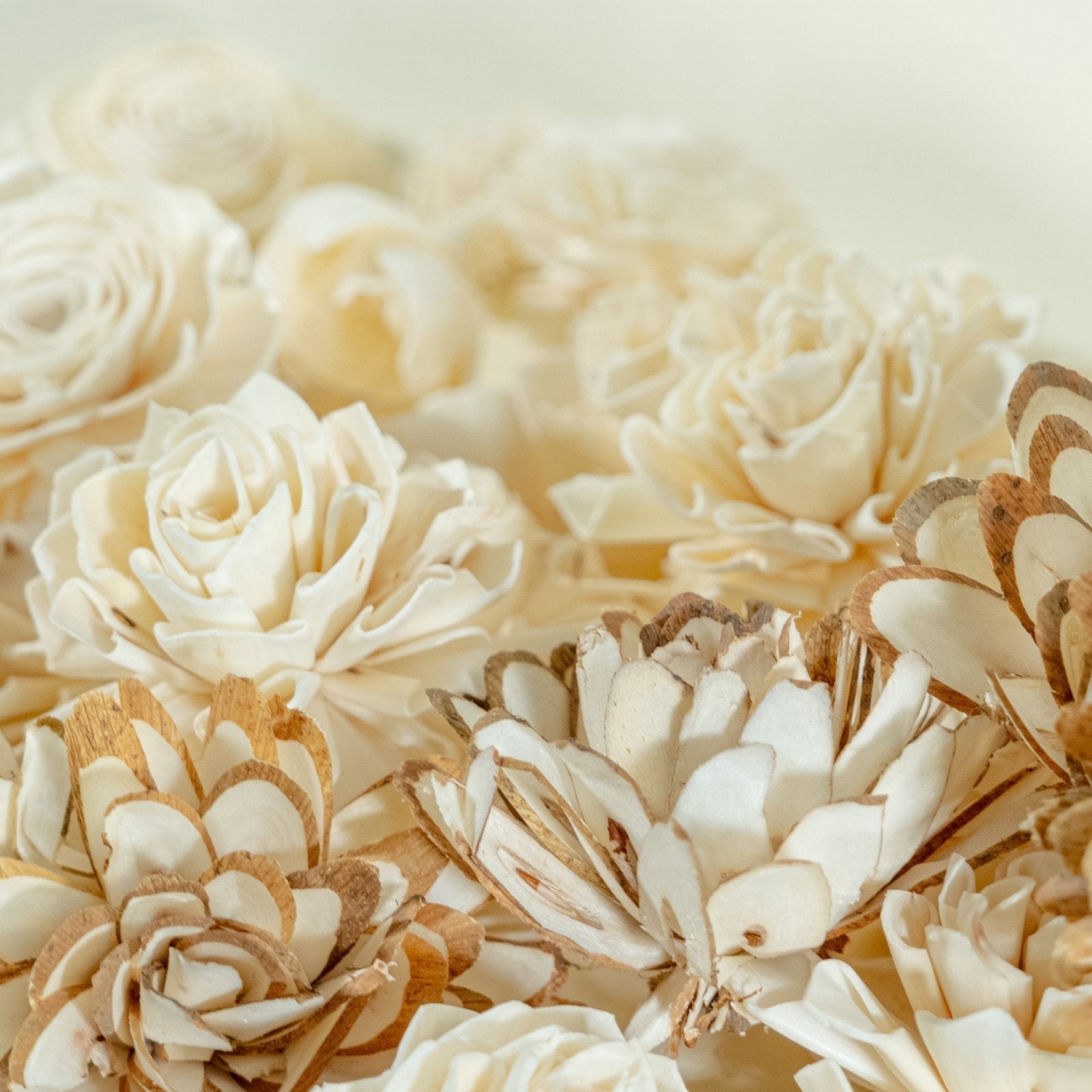 50 Random Assortment – Sola Wood Flowers