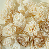 50 Random Assortment - Sola Wood Flowers