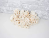 50 Random Assortment - No Skin - Sola Wood Flowers