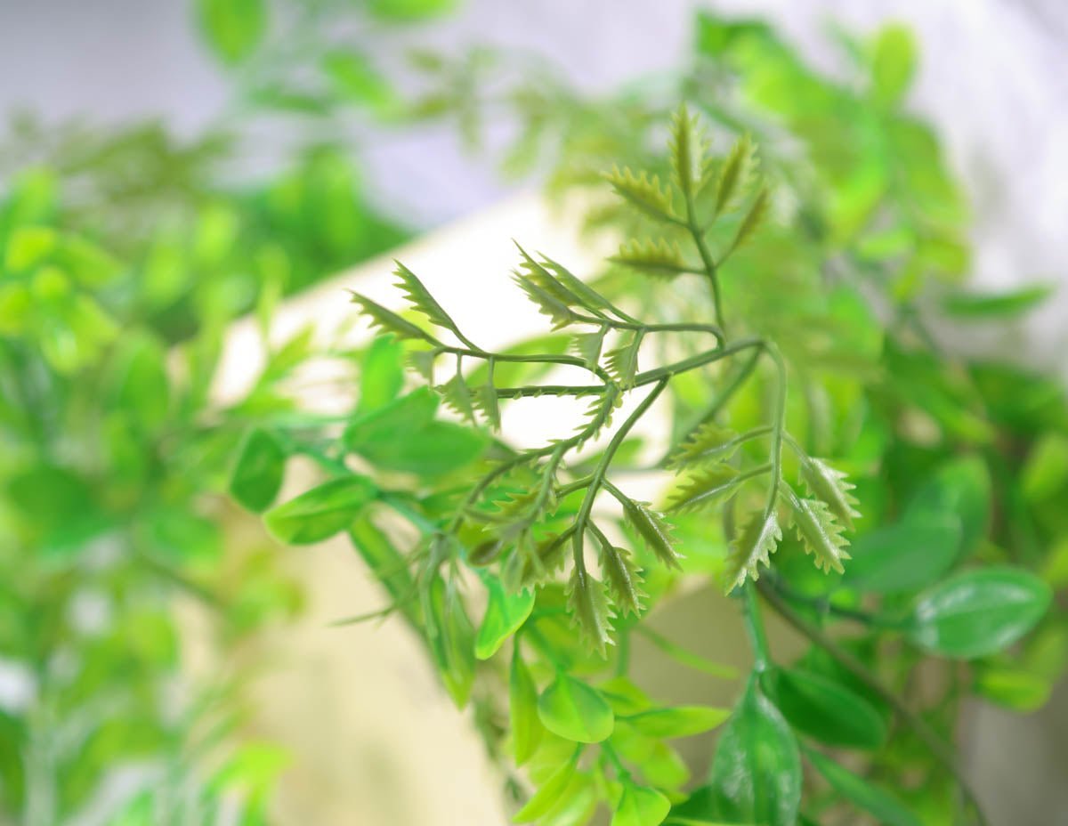 6 Foot Boxwood Garland – Sola-Flowers