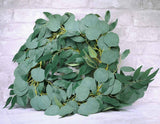 6 Foot Eucalyptus Garland - Sola Wood Flowers