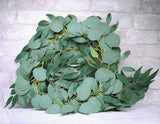 6 Foot Eucalyptus Garland - Sola Wood Flowers