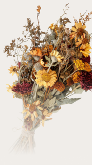 Wilted fresh flowers