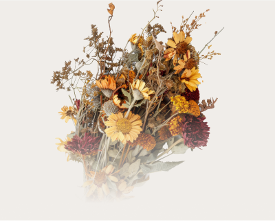 Wilted fresh flowers