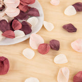 100 Petal Pack - Love Story