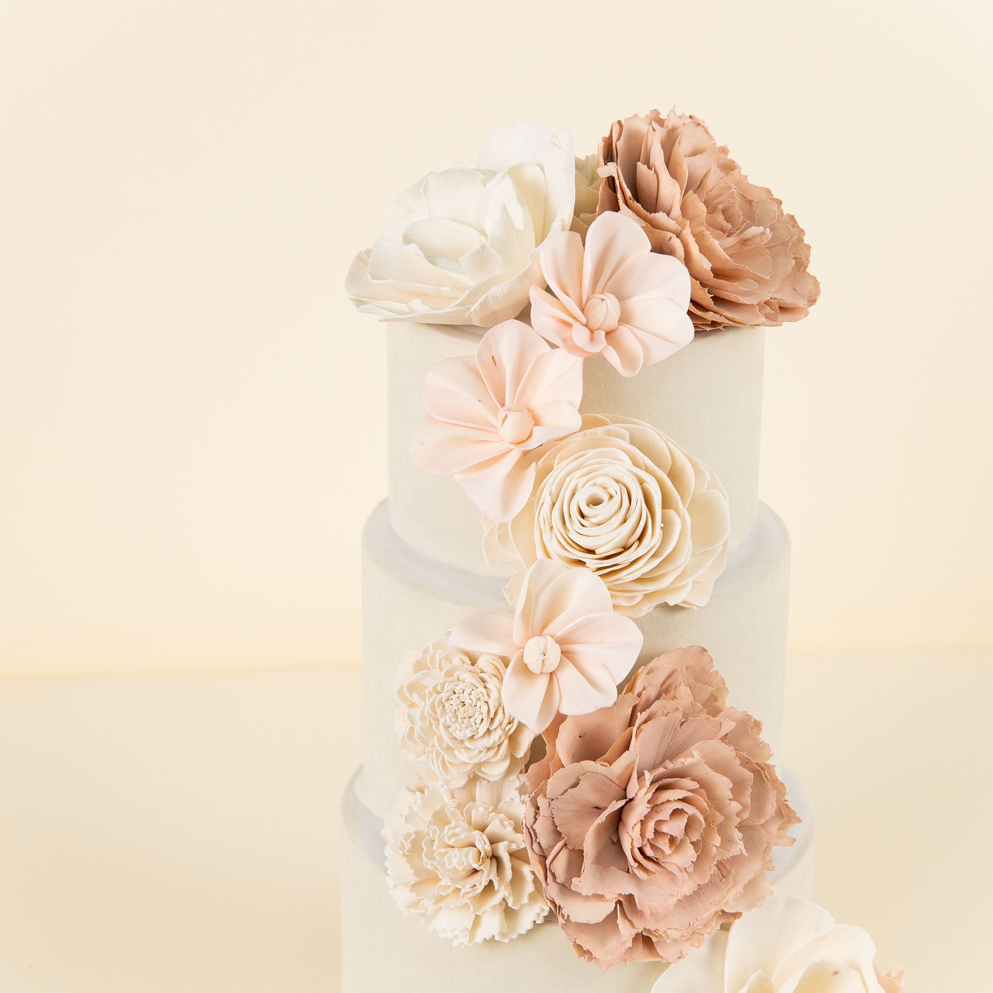 Cake Topper - Luxe Blush – Sola Wood Flowers