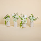 Old Money Bud Vase Pack