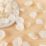 100 Petal Pack - Perfect Simplicity