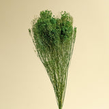 Broom Bloom - Green - Sola Wood Flowers