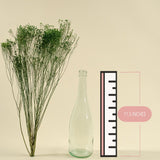 Broom Bloom - Green - Sola Wood Flowers