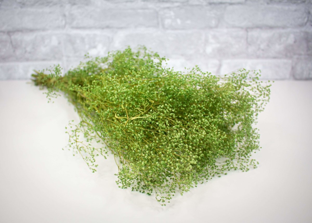 custom-mini-gyp-basil-green-14
