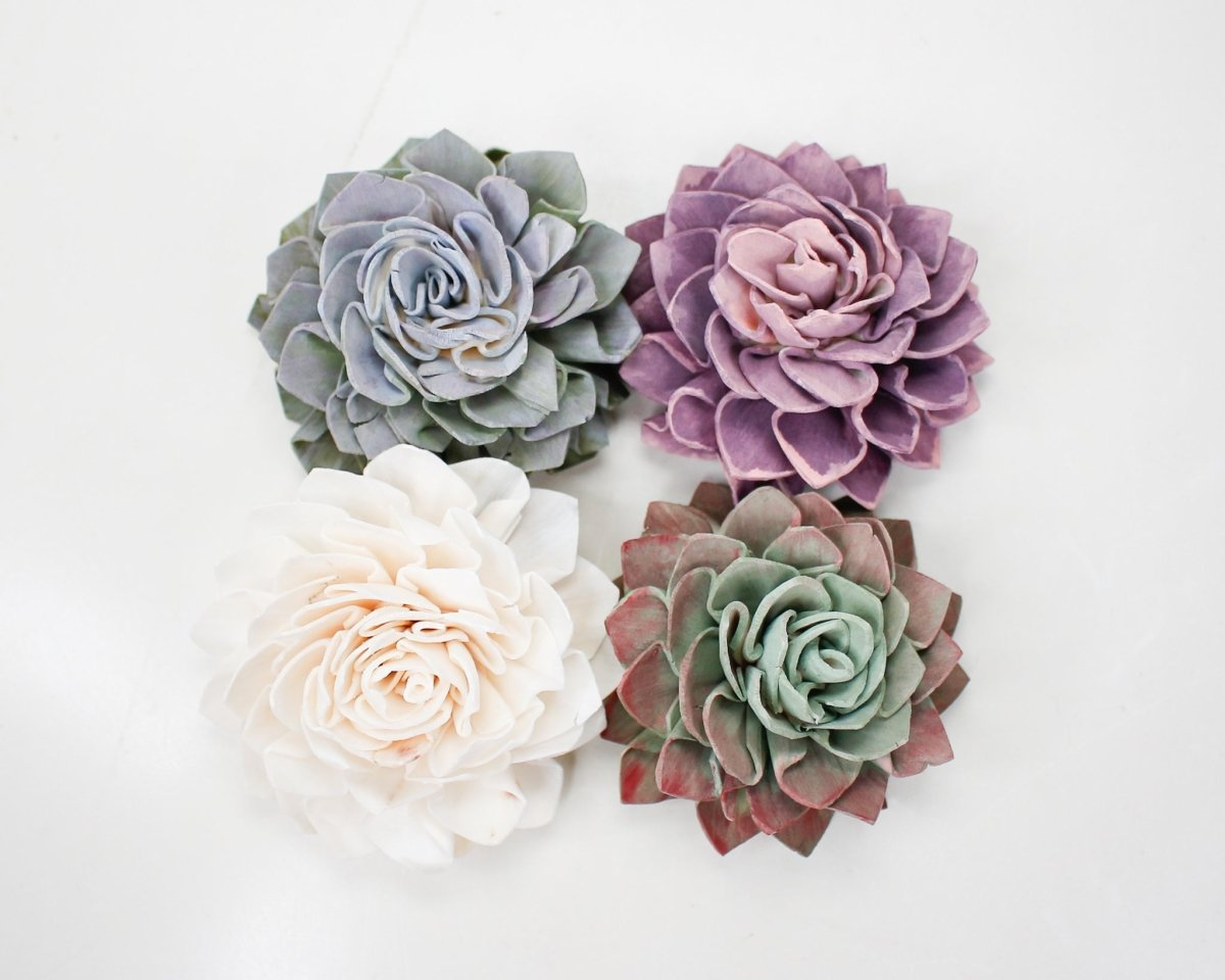 painted succulent plants DIY Hand Painted Succulent Assortment – Sola Wood Flowers