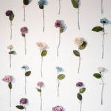 DIY Single Flower Wall - Sola Wood Flowers