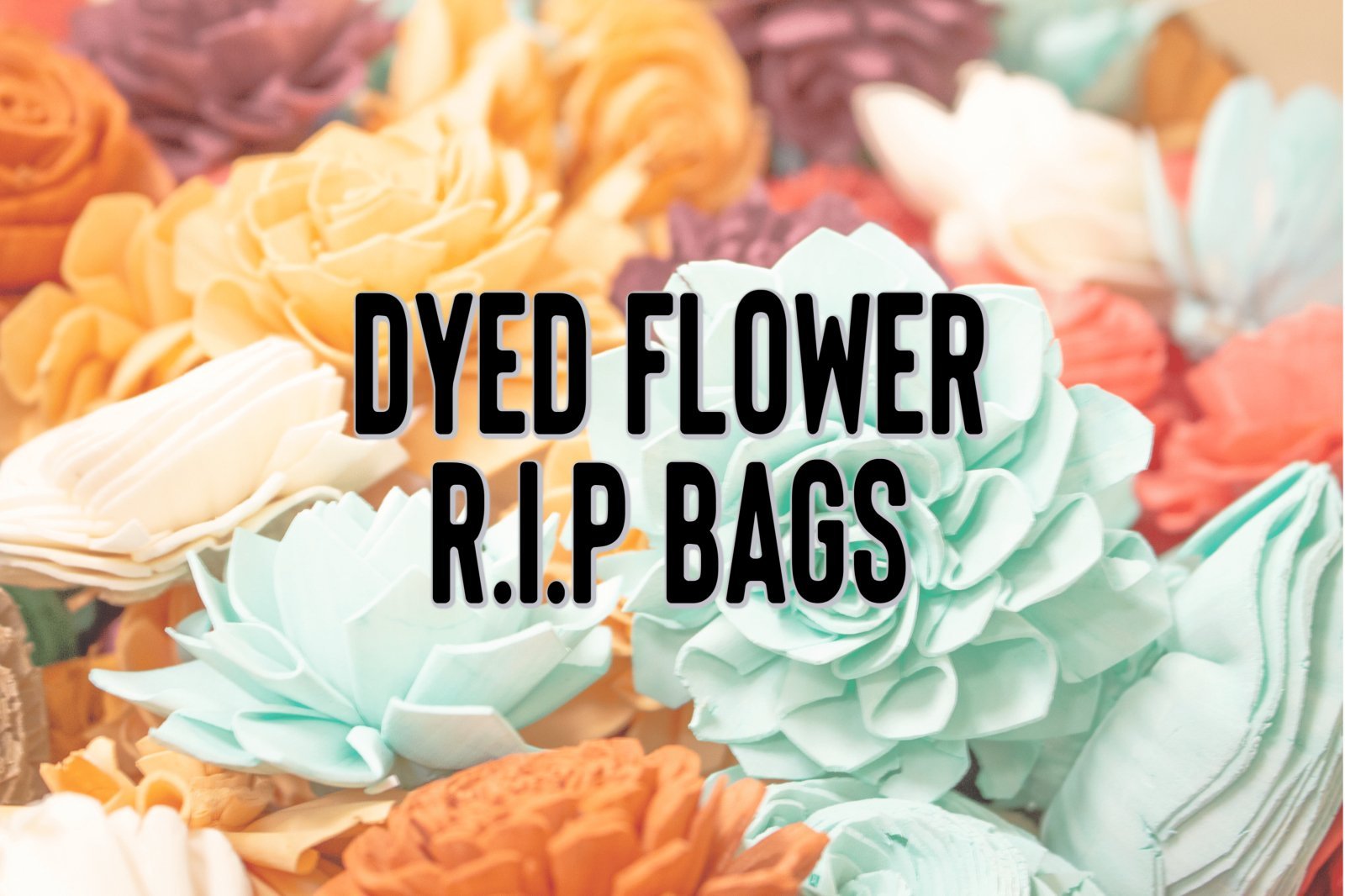 Dyed Flowers - R.I.P Bags – Sola Wood Flowers
