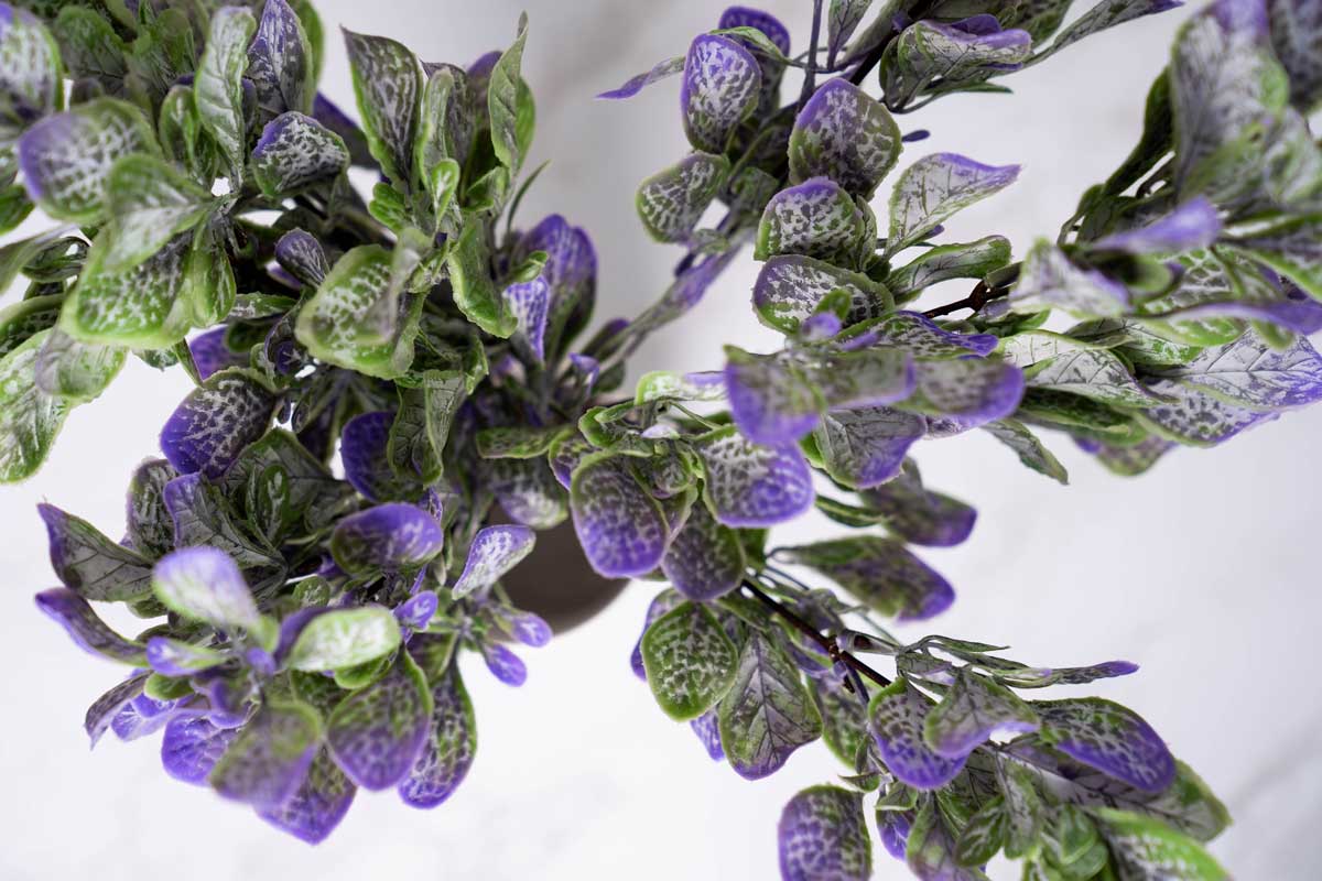 Faux Fiddle Leaf Fig - Purple  Sola Wood Flowers