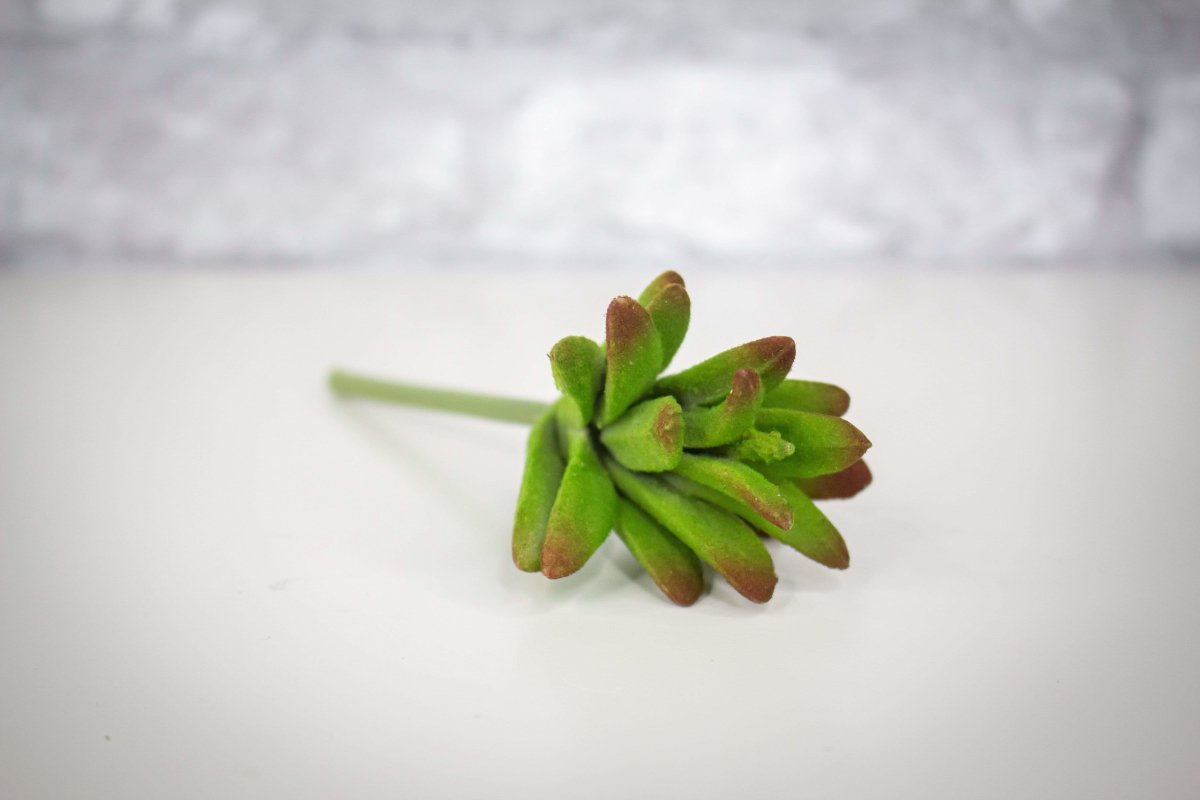 small fuzzy succulent Fuzzy Succulent Pick