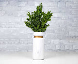 Greenery Sample Kit - Sola Wood Flowers