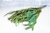 Greenery Sample Kit - Sola Wood Flowers