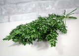 Greenery Sample Kit - Sola Wood Flowers