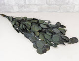 Greenery Sample Kit - Sola Wood Flowers