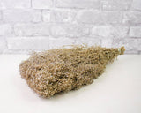 Greenery Sample Kit - Sola Wood Flowers