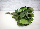 Greenery Sample Kit - Sola Wood Flowers