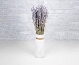 Greenery Sample Kit - Sola Wood Flowers