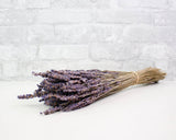 Greenery Sample Kit - Sola Wood Flowers