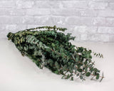 Greenery Sample Kit - Sola Wood Flowers