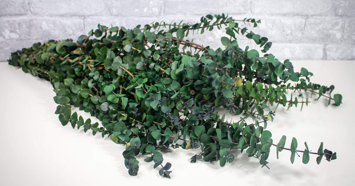 Greenery Sample Kit Option Set – Sola Wood Flowers
