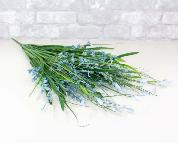 blue heather plant Heather Bush