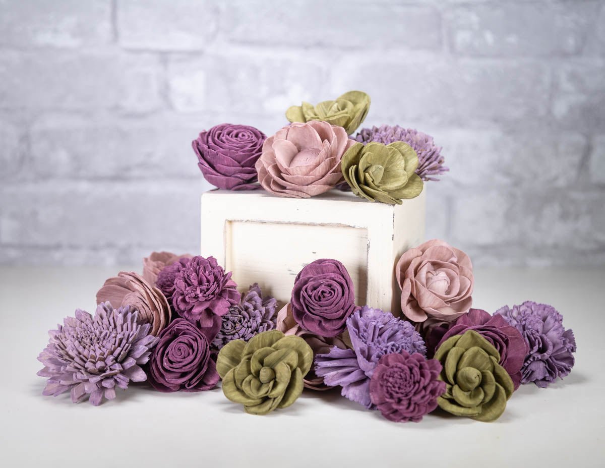 jacaranda-tree-assortment-