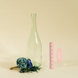 Juniper Groom's Boutonniere - Sola Wood Flowers