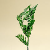 Leather Leaf - Green - Sola Wood Flowers