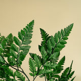 Leather Leaf - Green - Sola Wood Flowers