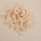 Mini Flower Assortment (150 Flowers) - No Bark - Sola Wood Flowers