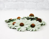 Mystery Birch Wood Flowers (10 Pack) - Sola Wood Flowers