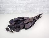 Preserved Silver Dollar Eucalyptus - Plum/Purple - Sola Wood Flowers