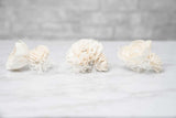 Pure Elegance Boutonniere Kit (Set of 3) - Sola Wood Flowers